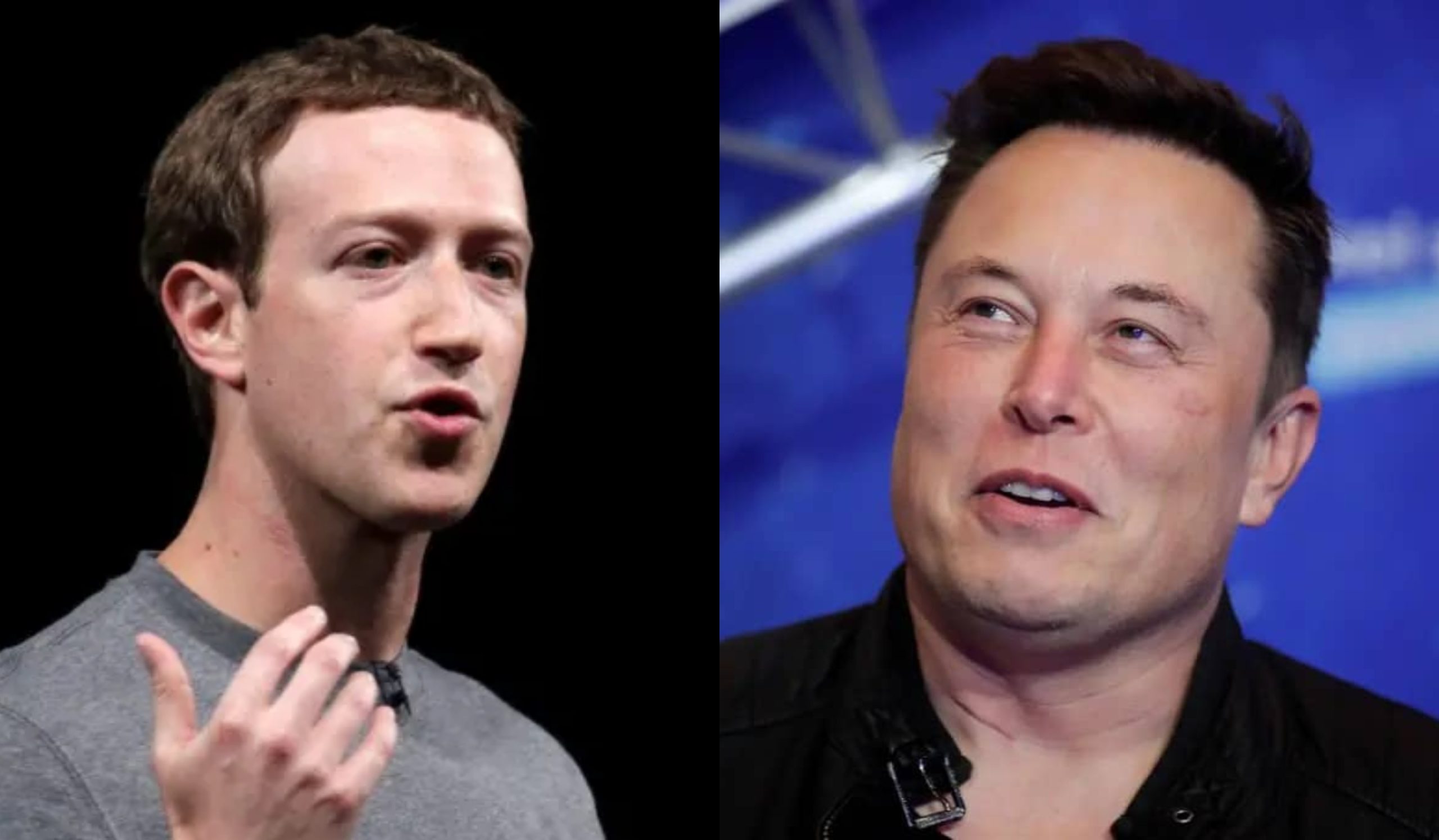 Marck Zuckerberg y Elon Musk