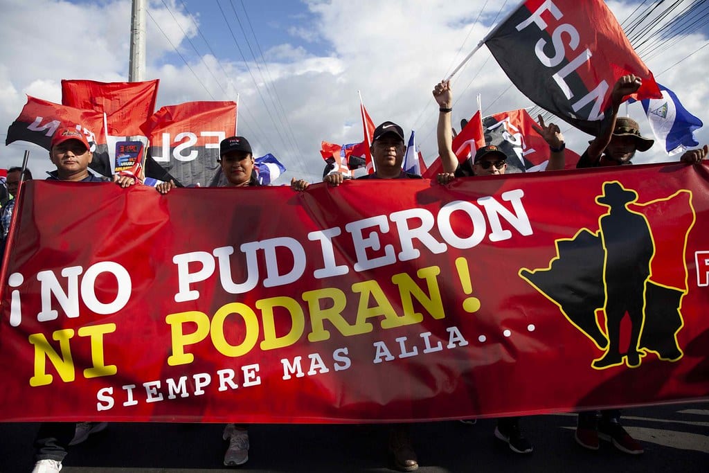 Manifestantes pro gobierno