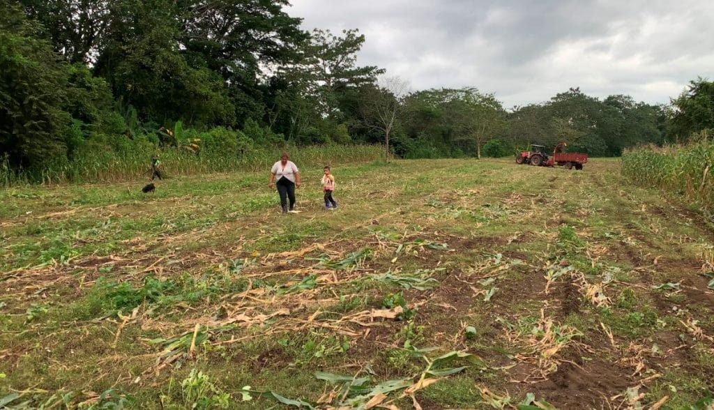 En el campamento de campesinos, las madres y padres inculcan a sus hijos el amor y respeto por la tierra.