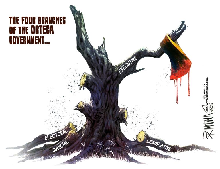 The four branches of the Ortega-Murillo dictatorship. By PxMolina.