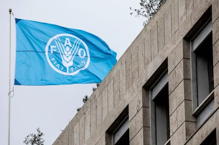 FAO expulsada de Nicaragua.