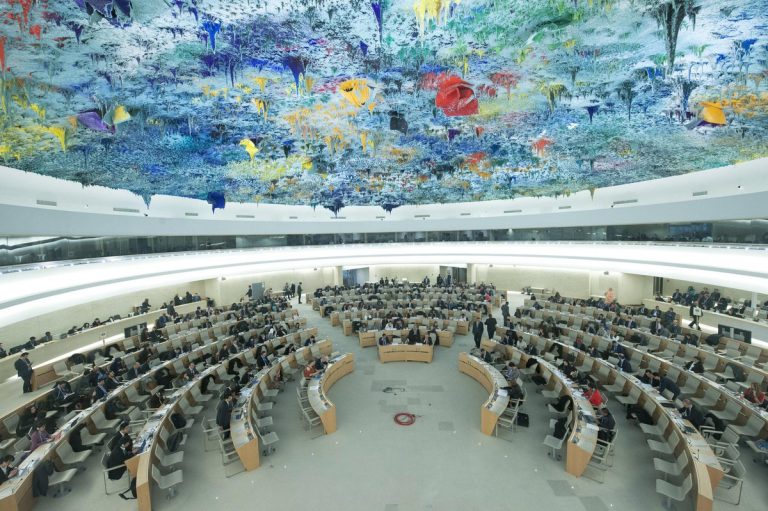 Consejo de Derechos Humanos de la ONU