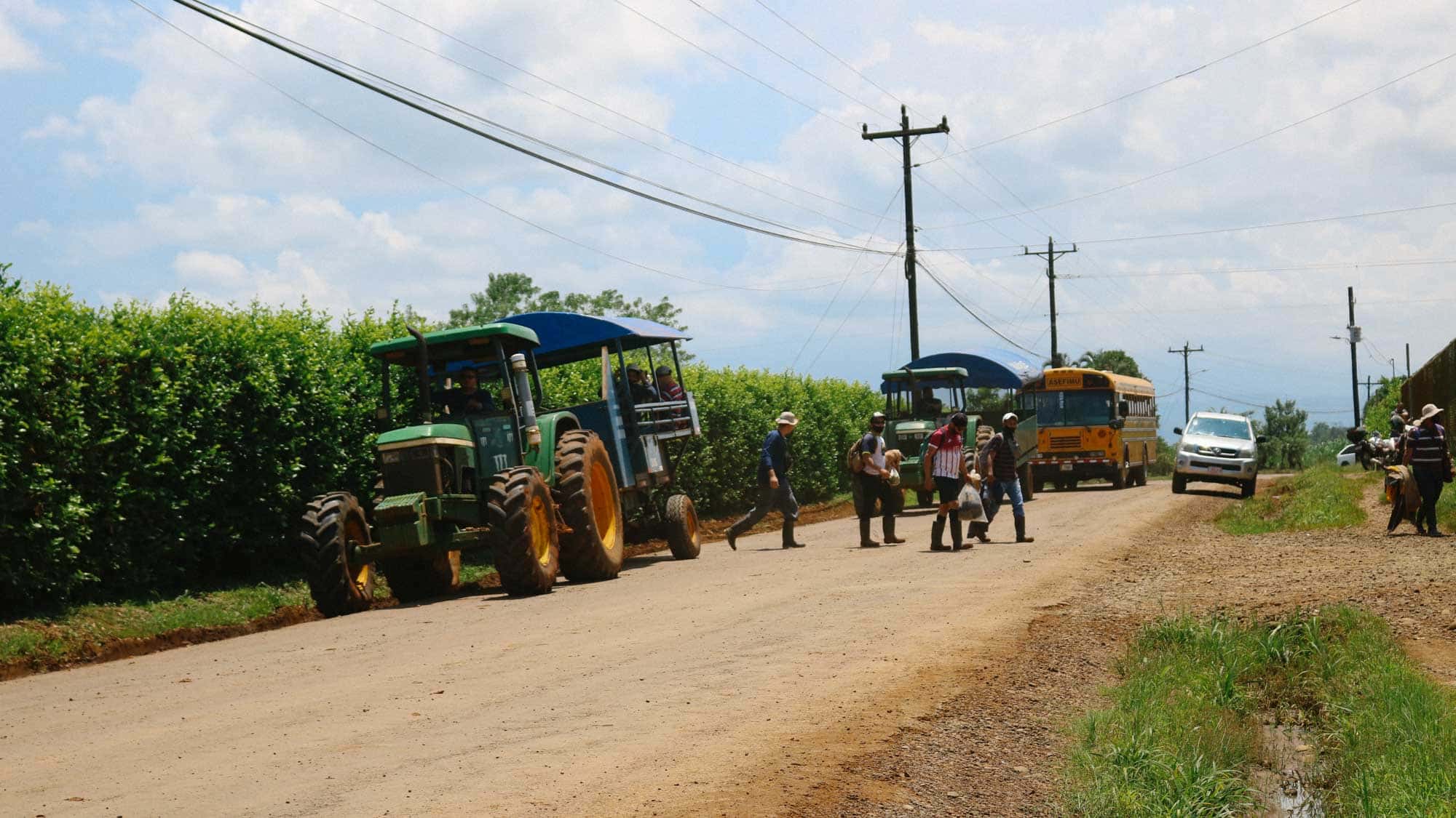 Nicas en Costa Rica