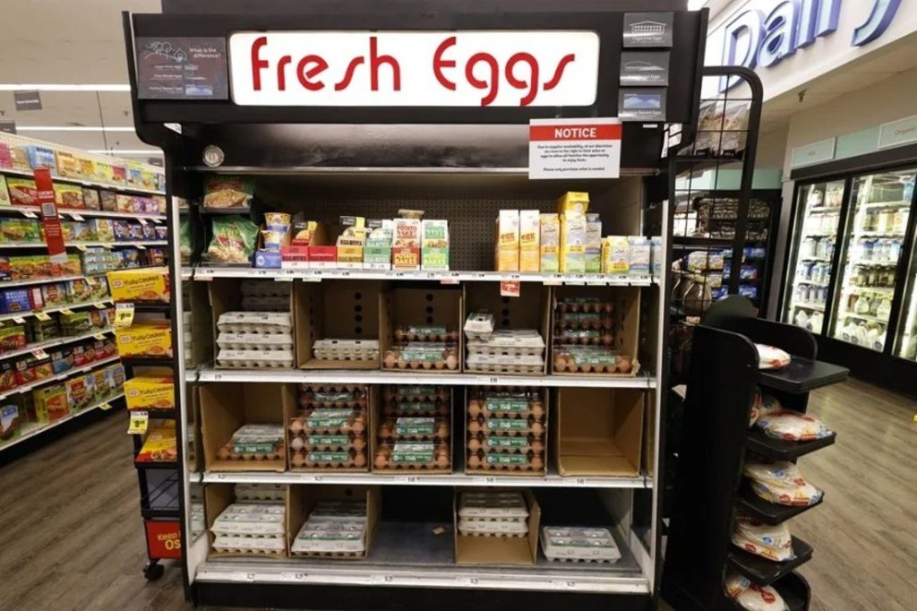 archivo de bajo inventario de huevos en un supermercado en Oakland.