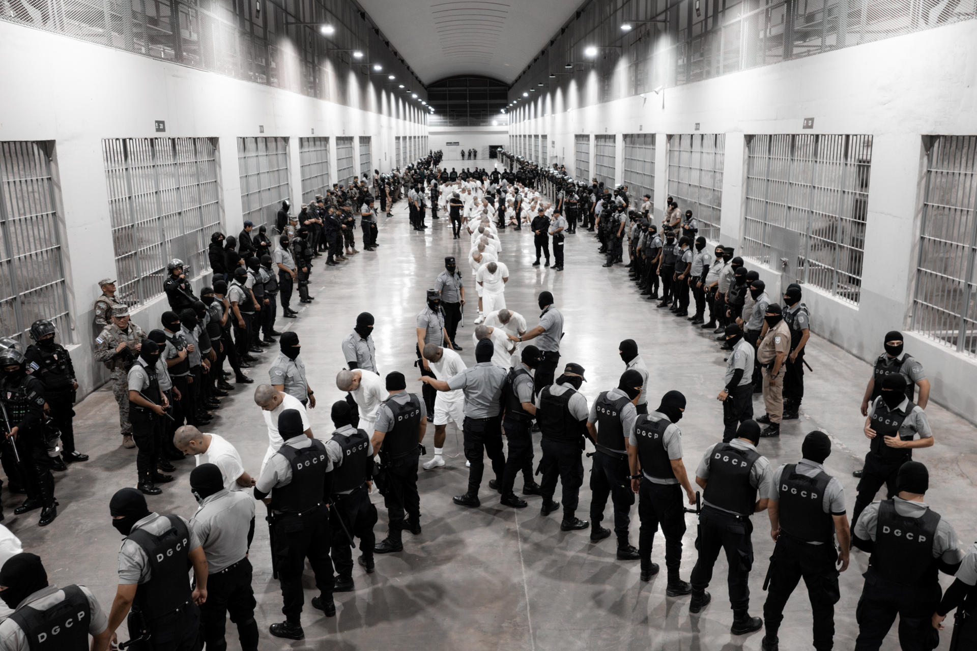 tren de aragua deportados