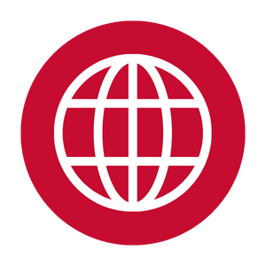 icono web