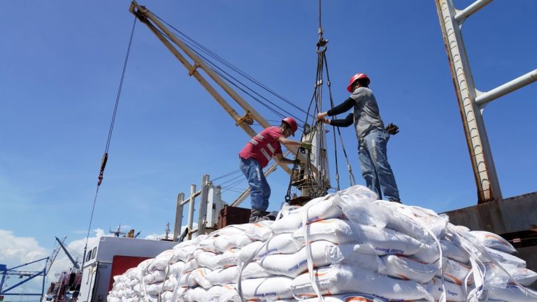 Actividad diaria en Puerto Corinto
