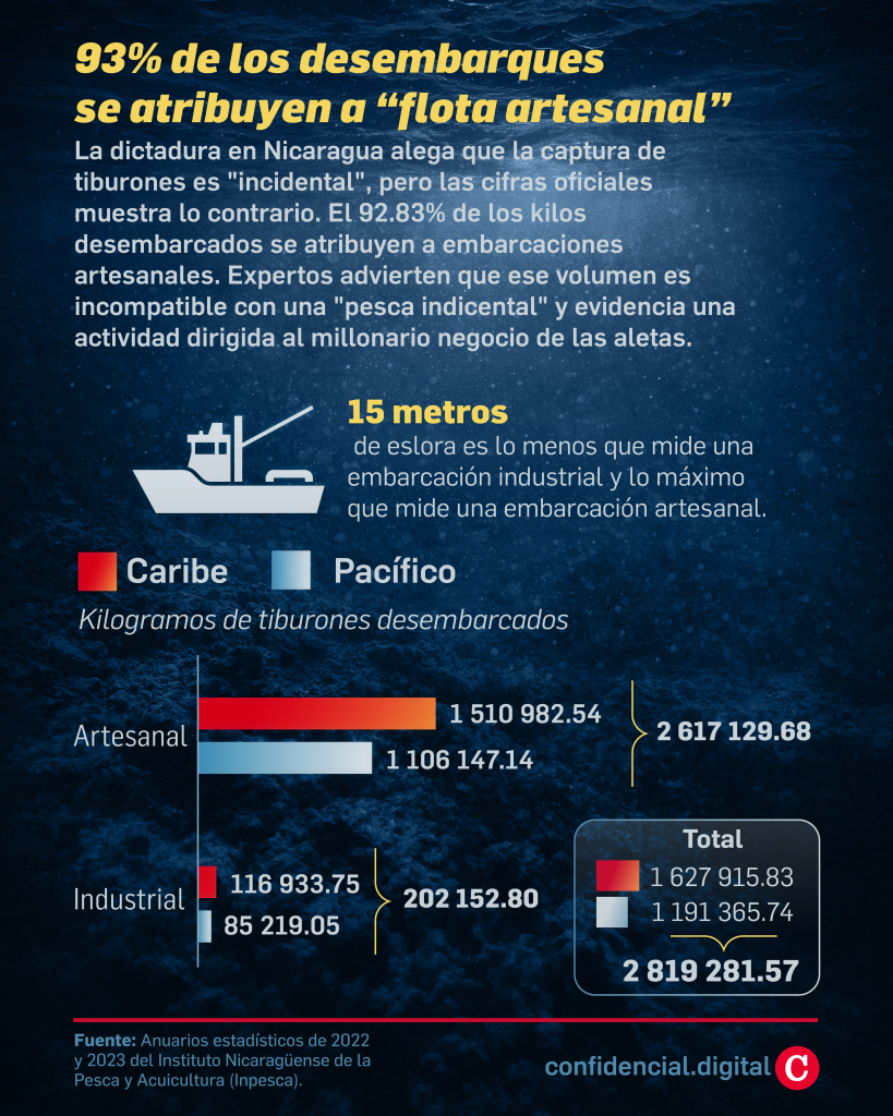 93% de desembarcos de pesca de tiburón en Nicaragua se atribuyen a flota artesanal