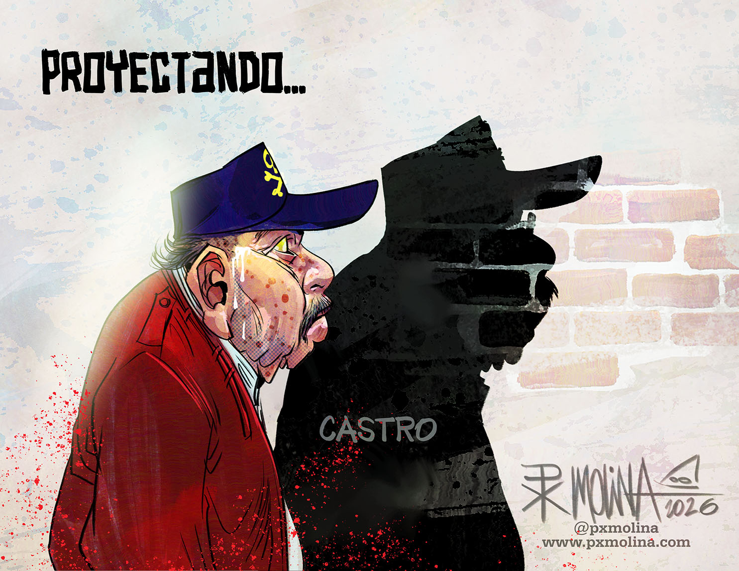 Caricatura Proyectando