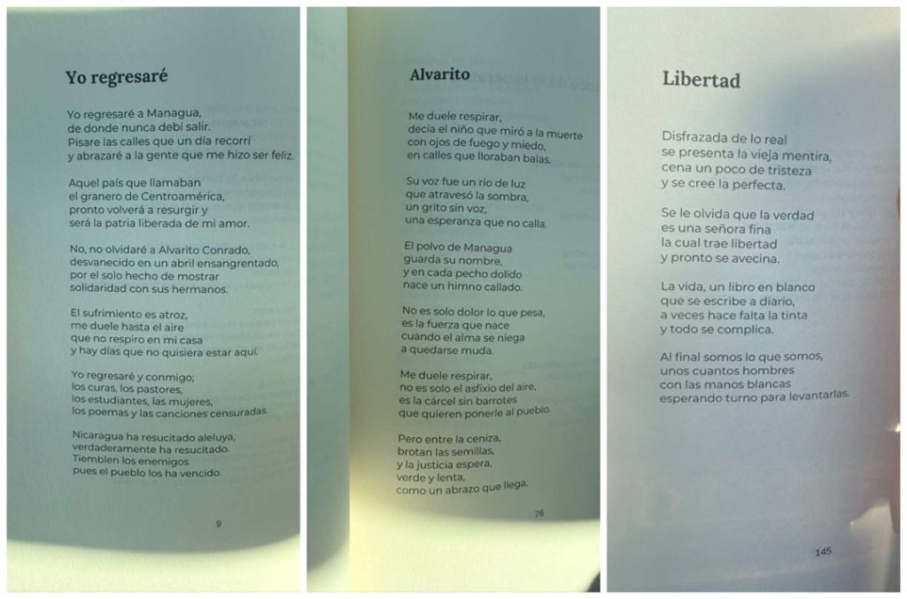 Collage of poems even the air hurts me