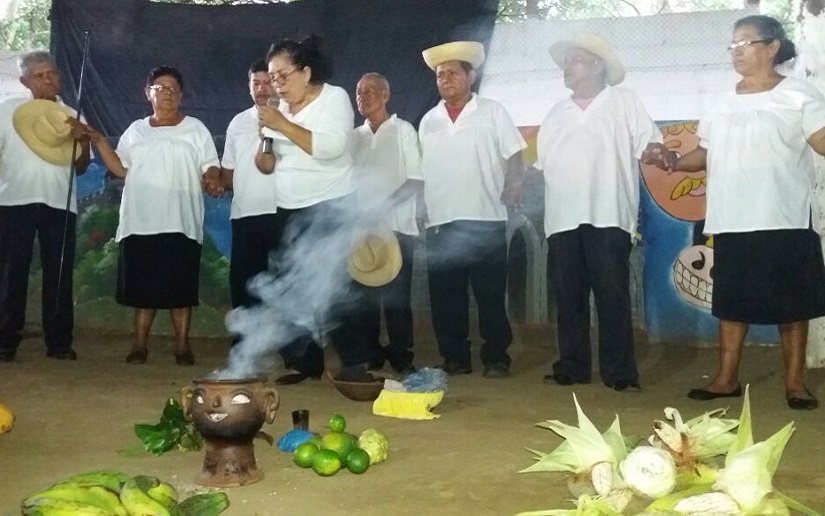 Minería, tala y monocultivos devoran territorios indígenas del Pacífico
